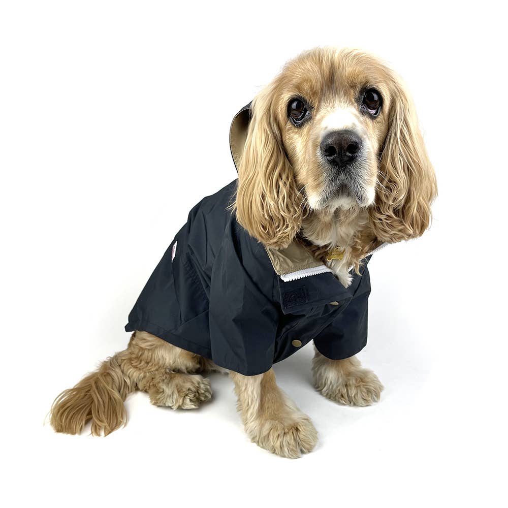 Rain dog coats best sale