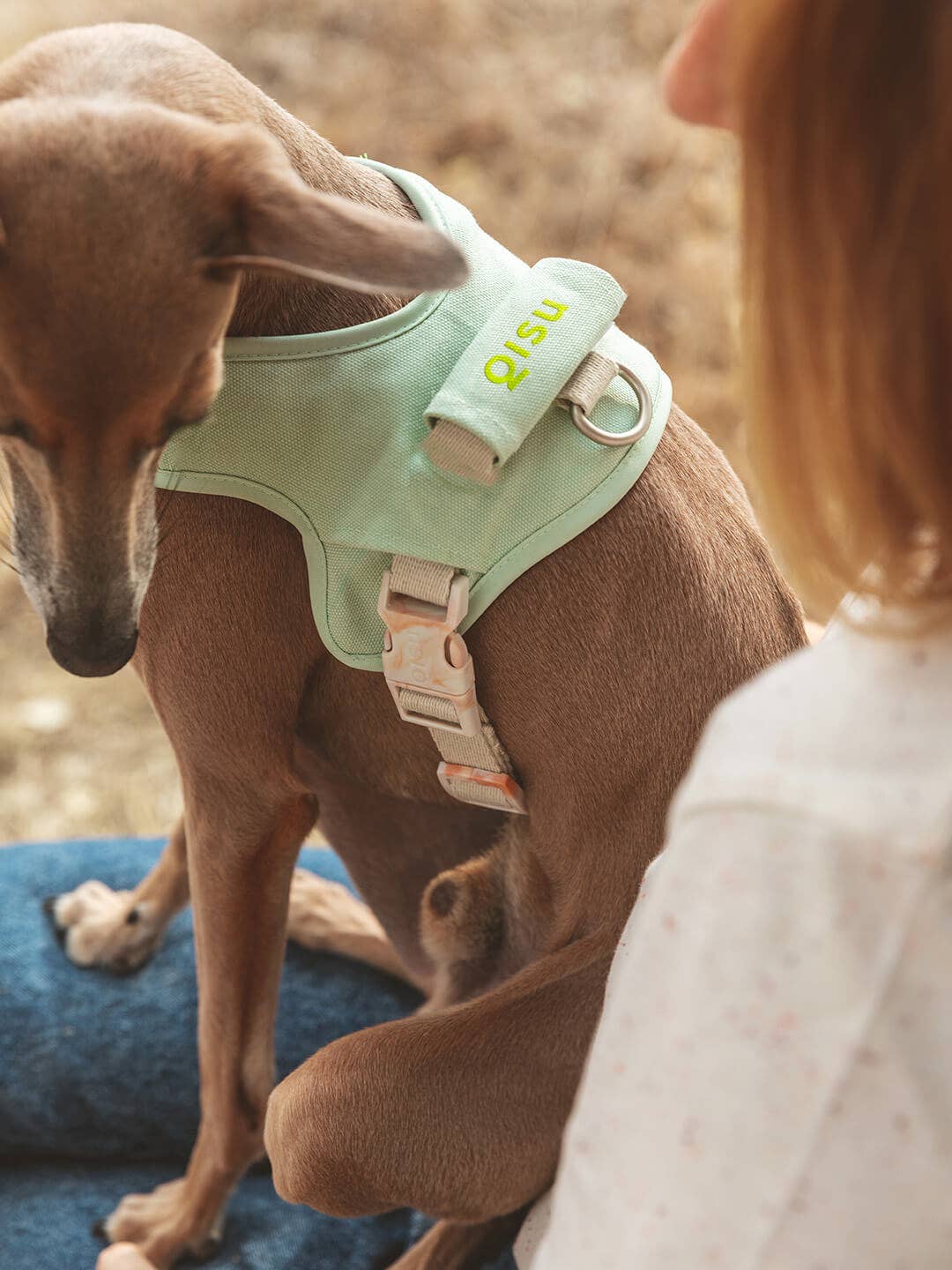 Qisu - Dog Harness | Hug Harness: / Mint