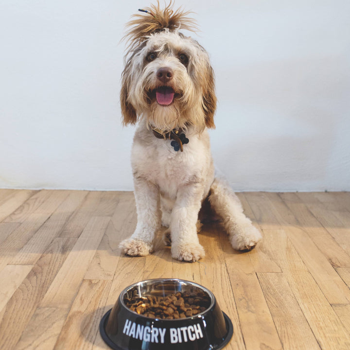 SNARK CITY - Hangry Bitch Pet Bowl