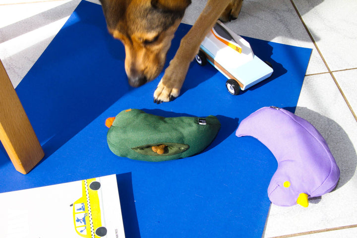 Approved by Fritz BV - The Fritz Bird Dog Toy: Happy Purple