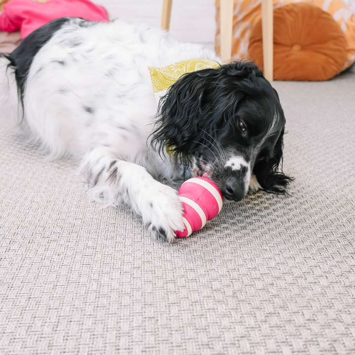 Babelle - The Bubble dog Feeder  - Lick Toy