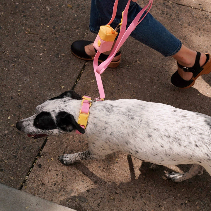 Approved by Fritz - The Fritz Leash: Standard / burgundy sun