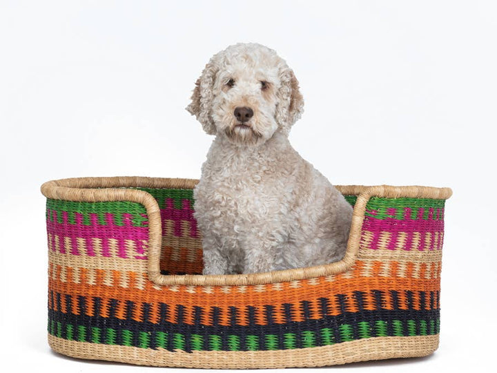 The Basket Room - Unique Pet Beds: Medium