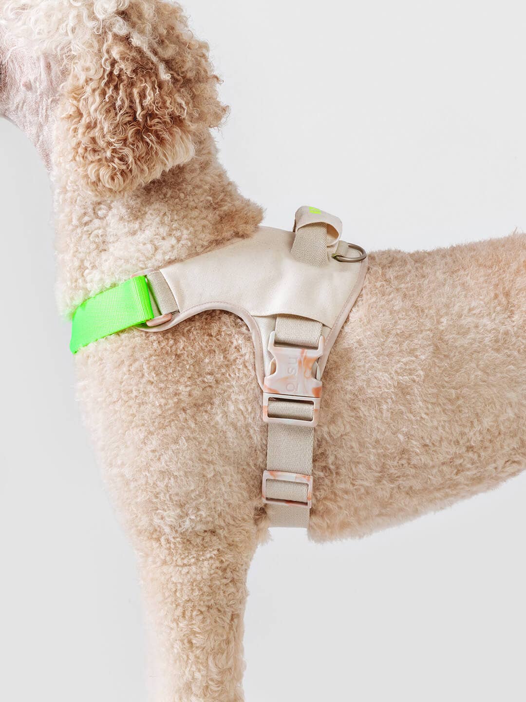 Qisu - Dog Harness | Hug Harness: / Mint