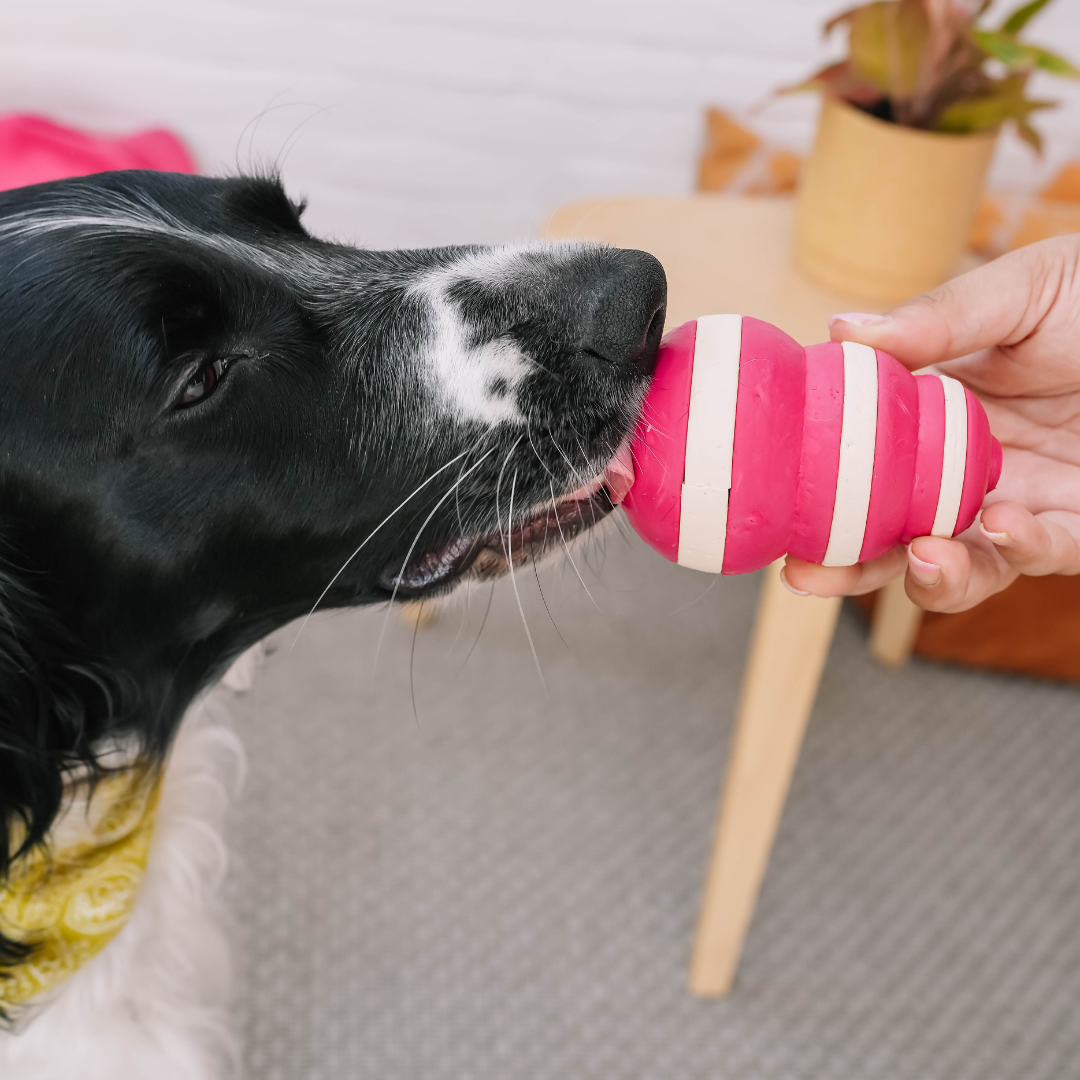 Babelle - The Bubble dog Feeder  - Lick Toy