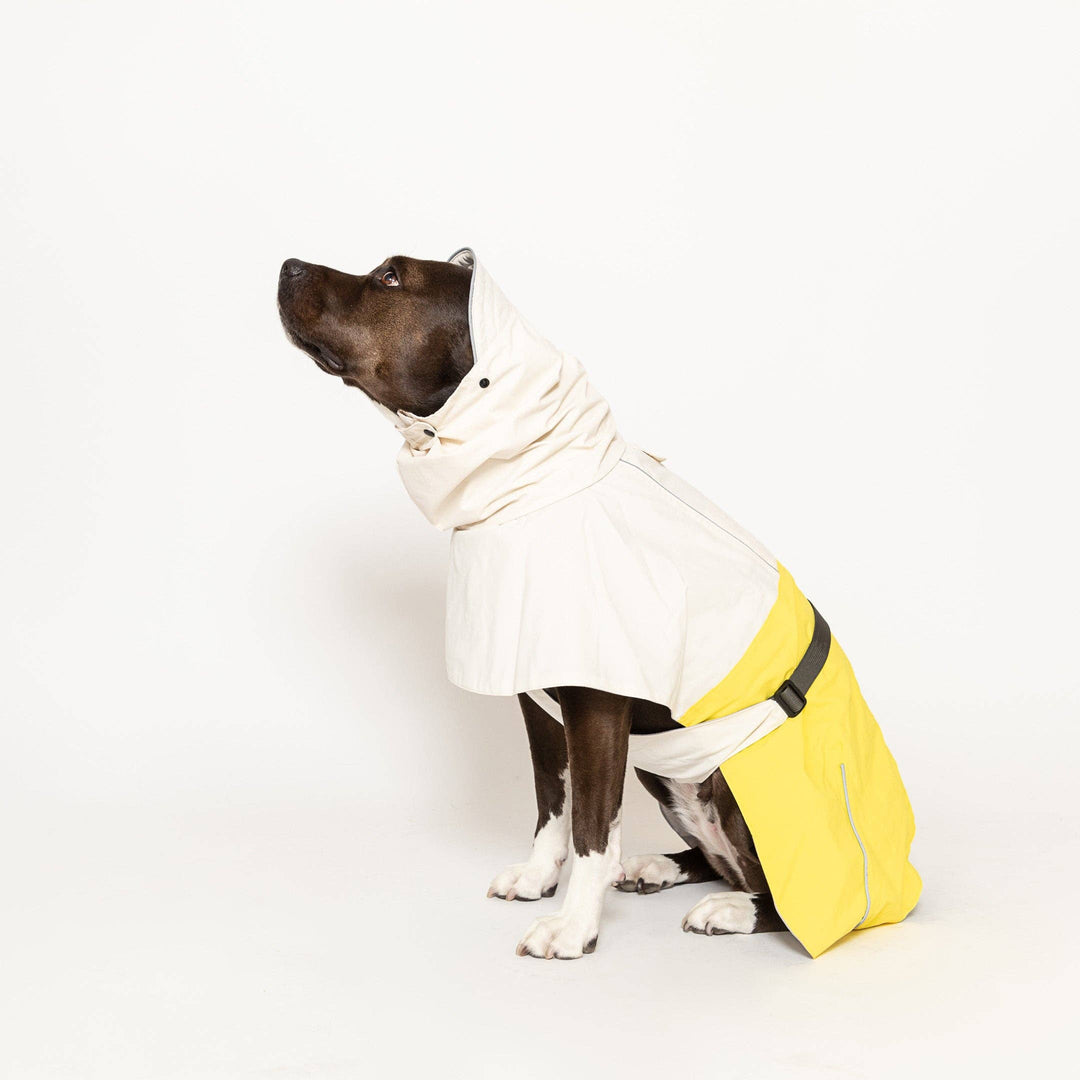 the furryfolks - All Weather Jacket