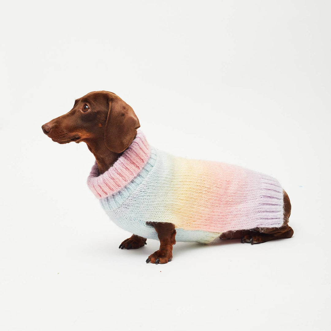 PetLondon - Pastel Rainbow Ombre Dog Sweater