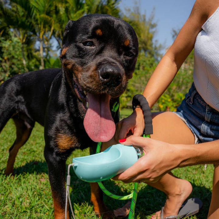 As Pets - Portable Pet Water Bottle (Pink)