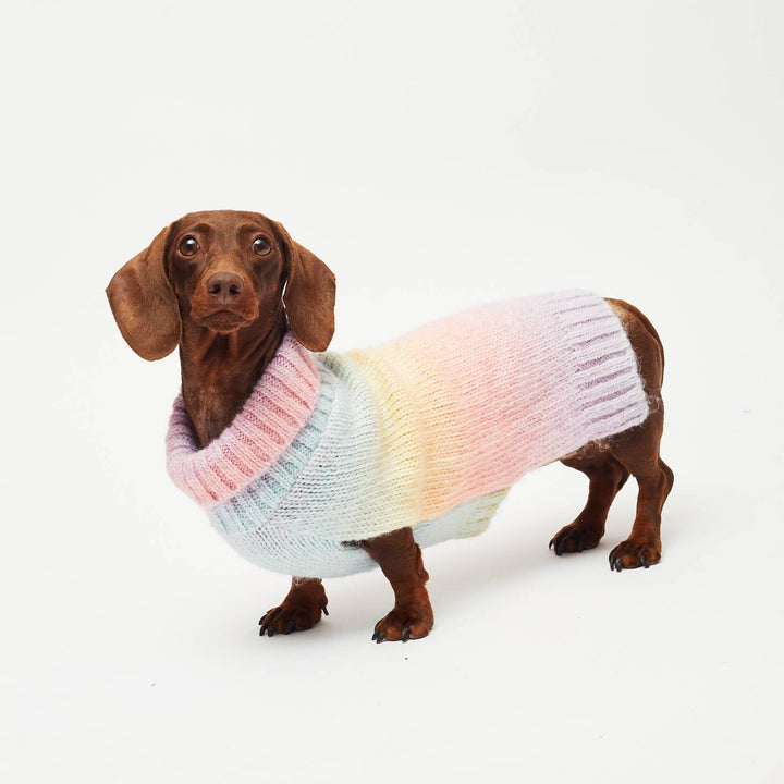 PetLondon - Pastel Rainbow Ombre Dog Sweater