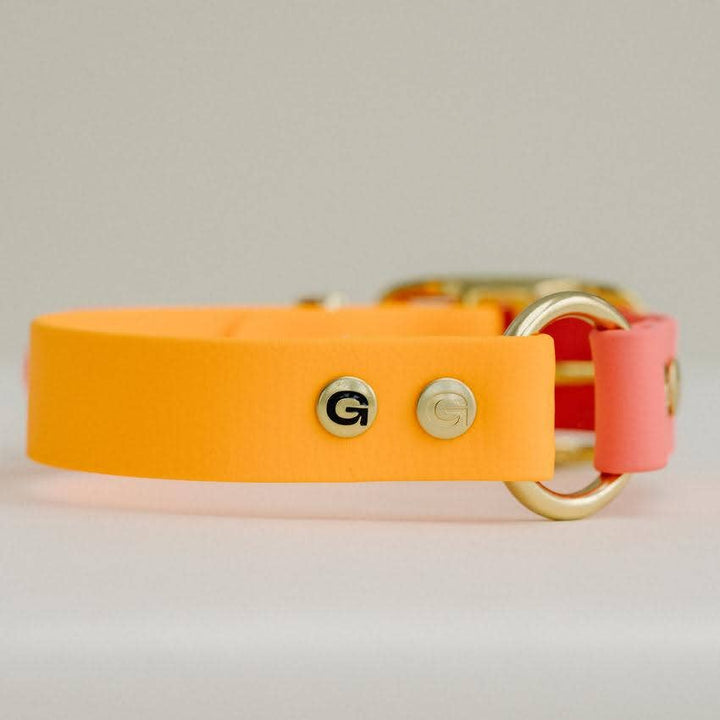 GULA DOG CARE - GULA Dog Collar - Orange & Pink - 25mm